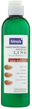 SHAMPOO AI SEMI DI LINO Shampoo 250 ml unisex