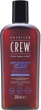 Anti-Dandruff + Dry Scalp Shampoo 250 ml female