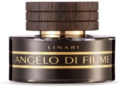 Angelo di Fiume Eau de Parfum Spray Set di fragranze 100 ml unisex