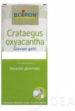 Crataegus Oxyacantha Biancospino Macerato Glicerico 60 ML