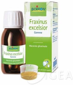 Fraxinus Excelsior Macerato Glicerico 60 ml