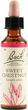 Sweet Chestnut Fiore di Bach 20 ml