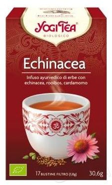 Echinacea Infuso ayurvedico biologico 17 filtri