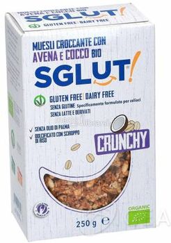 Sglut Crunchy senza glutine Snack con avena e cocco 250 g