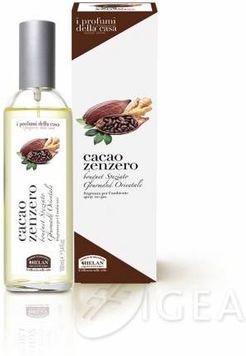 Spray Aromatico per la Casa Cacao e Zenzero 100 ml