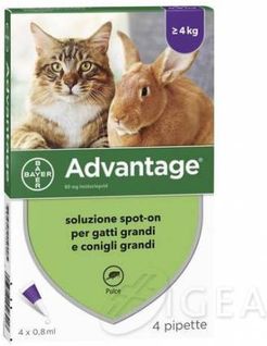 Advantage Spot-On 80 Antiparassitario per gatti e conigli 4 pipette