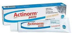Actinorm Pasta Gatti per rimuove boli di pelo 65 g