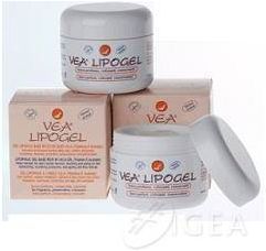 Lipogel Gel Lipofilo Base