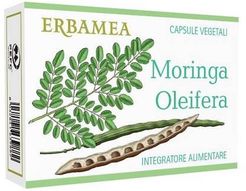 Moringa Oleifera 24 Capsule