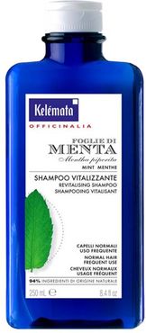 Shampoo Vitalizzante alle Foglie di Menta Capelli Normali 250 ml