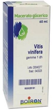 Vitis Vinifera Macerato Glicerico 60 ml