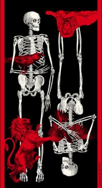 Lion Skeleton Shawl - Item 6480304D10Q1074