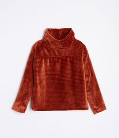 Striped Velour Mock Neck Top