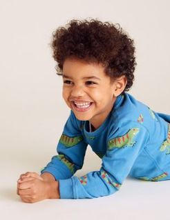 Pure Cotton Iguana Print Sweatshirt (2-7 Yrs) - Sky Blue - 2-3 Years