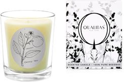 Qualitas Orange Tree 6.5oz Beeswax Candle