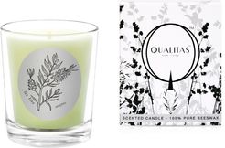 Qualitas Tea Tree 6.5oz Beeswax Candle