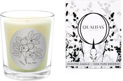 Qualitas Fig Tree 6.5oz Candle