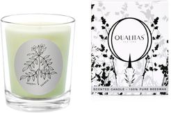 Qualitas Jasmine 6.5oz Beeswax Candle