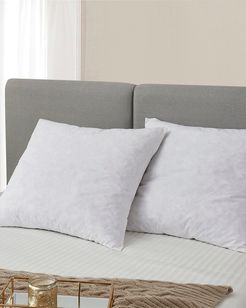 Serta Pack of 2 Feather Euro Square Pillows