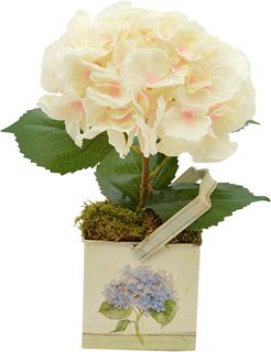 Cream Hydrangea in an Embellished Vase