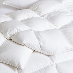 Dreamstead by Cuddledown Warm Softest Loft Comforter