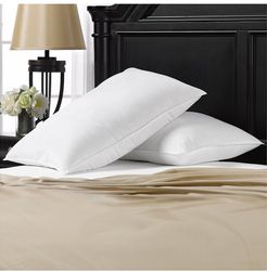 Exquisite Set of 2 Soft Plush Gel Fiber Filled Allergy Resistant Stomach Sleeper Pillows
