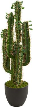 Nearly Natural 2.5? Cactus Artificial Plant