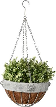 Esschert Design USA Aged Metal Lion Hanging Basket