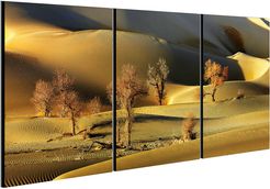 Chic Home Design Golden Desert 3pc Set Wrapped Canvas Wall Art