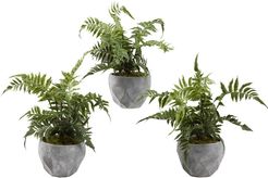 D&W Silks Set of 3 Leather Leaf Fern in Cement Planter