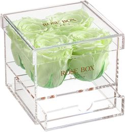 Rose Box NYC 4 Light Green Roses Jewelry Box