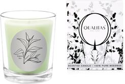 Qualitas Green Tea 6.5oz Beeswax Candle