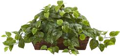 Nearly Natural Pothos with Ledge Basket