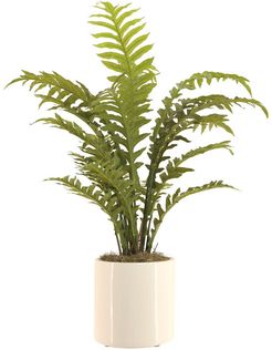 Creative Displays Plant in Ceramic Pot