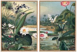 Set of 2 Water Plants Wall Art