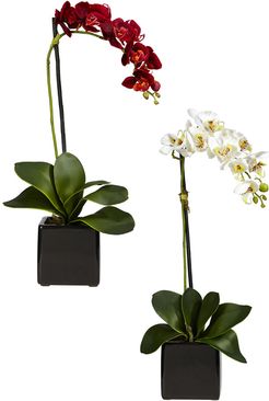 Nearly Natural Set of 2 Phalaenopsis Orchid with Black Vase Silk Arrangement