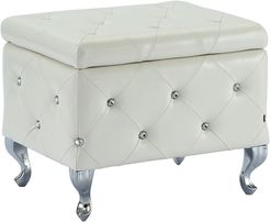 Worldwide Home Furnishings Monique Single Storage Ottoman