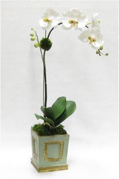 Orchid Artificial Wooden Small Square Container