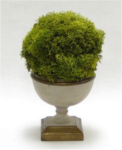 Reindeer Moss Topiary Ball in Small Wooden Footed Bowl