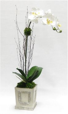 Artificial Orchid in Small Wooden Square Container