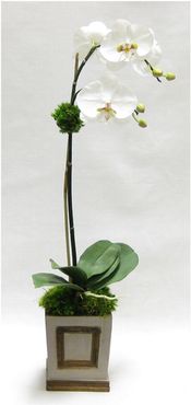 Two Spike Artificial Orchid Small Wooden Square Container