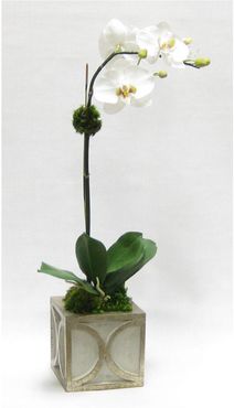 Two Spike Artificial Orchid in Mini Wooden Square Container