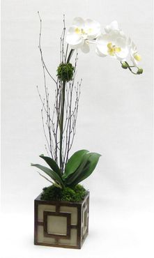 Artificial Orchid in Mini Wooden Square Container
