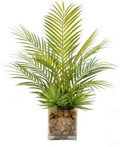 Palm Leaves in Clear Container with Rocks