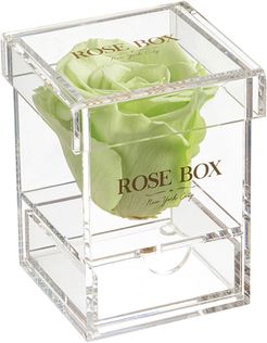 Rose Box NYC Single Light Green Rose Jewelry Box