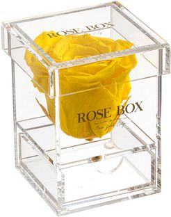 Rose Box NYC Single Bright Yellow Rose Jewelry Box