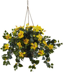 Hibiscus Hanging Basket