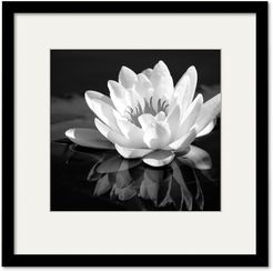 Courtside Market Wall Decor Waterlily Gallery Collection Framed Art
