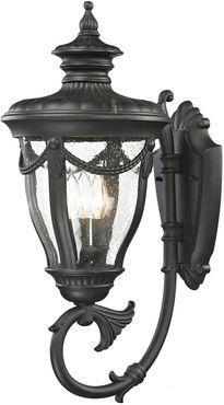 1-Light Anise Outdoor Sconce