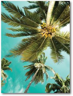 Courtside Market Wall Decor Palms Up Gallery-Wrapped Canvas Wall Art